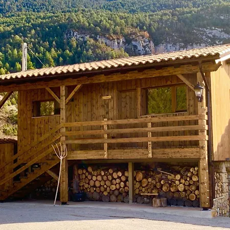 Cal Paller-2